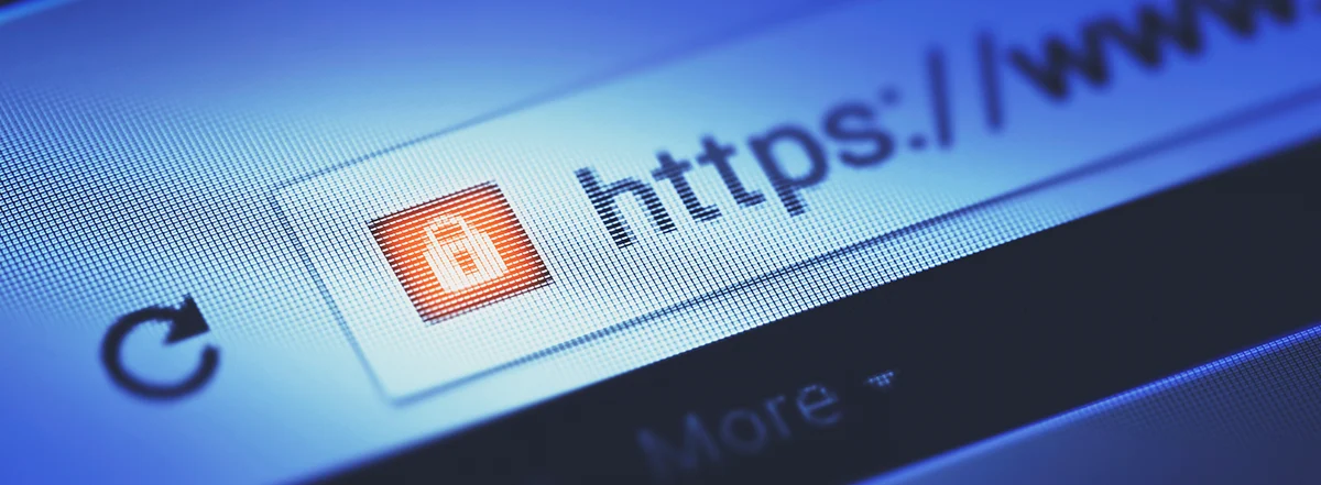 这个网站安全吗？完整网站安全检查指南-封面